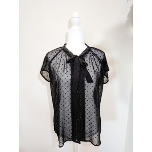 Patprimo Sheer Black Short Sleeved Blouse